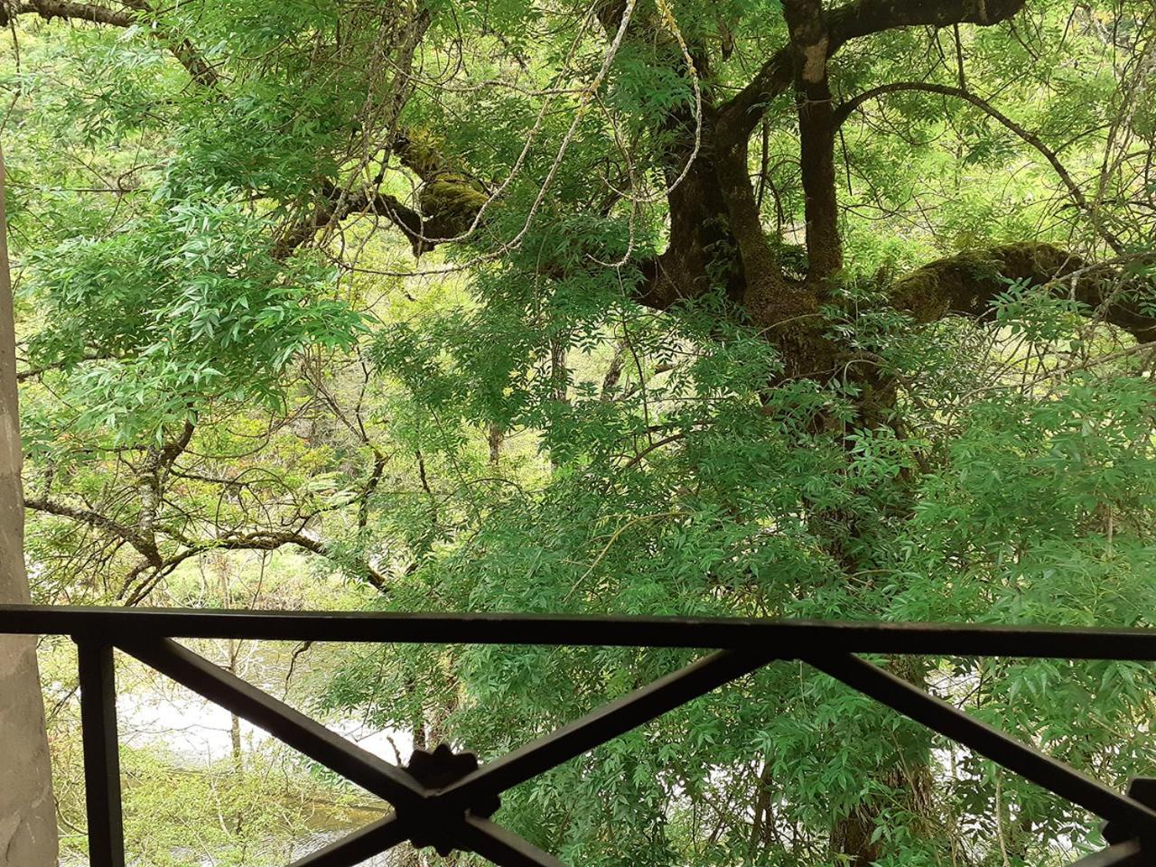 فندق Le Moulin De Saleth سان أنتونين الغرفة الصورة